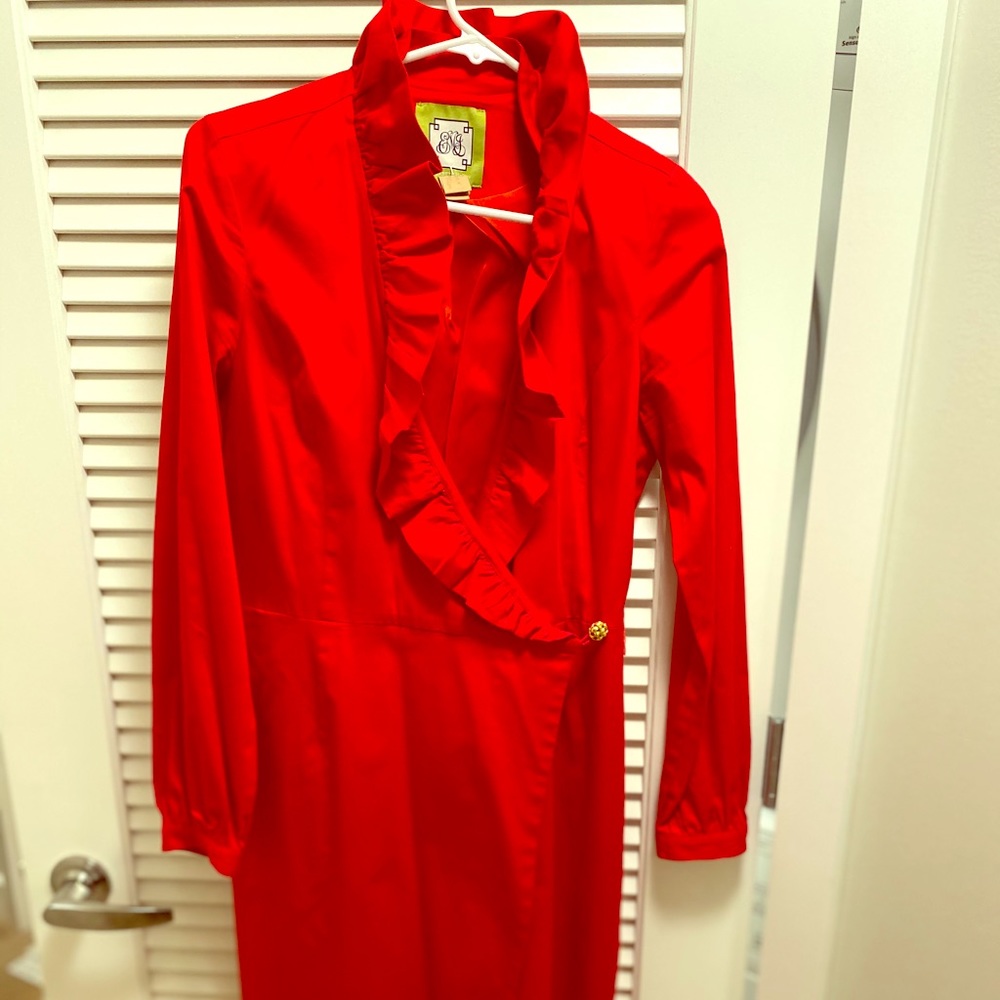 Elizabeth McKay wrap ruffle dress -long sleeve